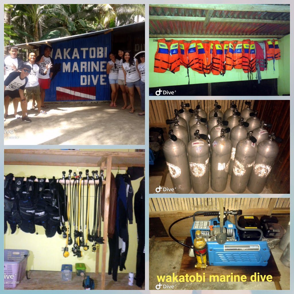 Wakatobi Marine Dive shop sign, tank rack and rental equipment in Waha